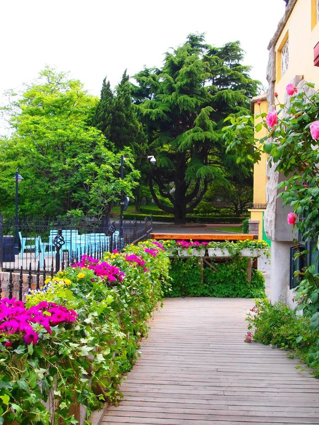 🌟 Qingdao's Top Hotel Havens: Views, Brews & Unique Stays! 🏨✨
