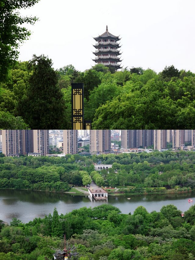 春遊江淮 張公山公園看淮河兩岸無限風光