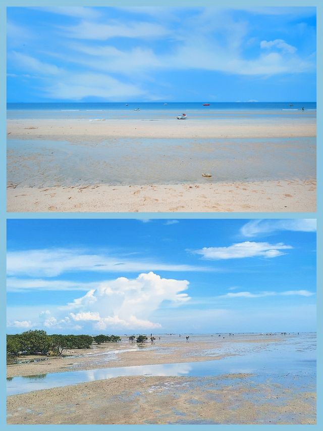 北海紅樹林必去趕海攻略：潮起潮落間的親子樂趣