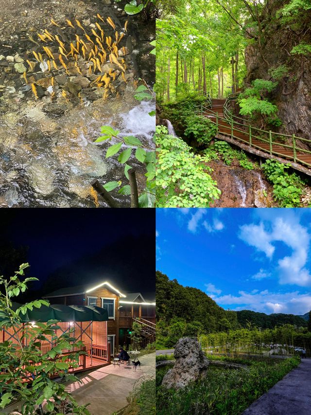 洛陽周邊避暑聖地～王府竹海
