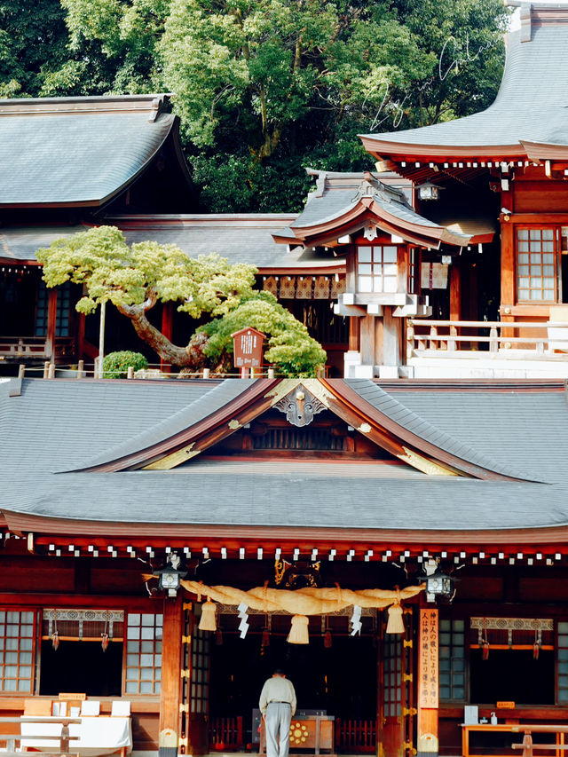 【熊本】出水神社：歷史悠久絕佳春遊去處