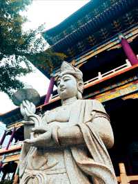 西普陀寺：藏於貴陽繁華鬧市中的一片淨土