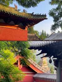 河南夏日遊，登嵩山，遊少林寺