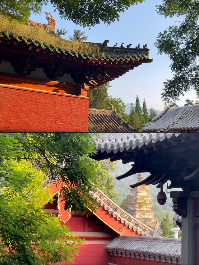 河南夏日遊，登嵩山，遊少林寺