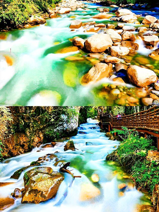 汐兒旅行|在山野納涼採摘·孟屯河谷