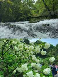 雅安龍苍溝疊翠溪風景區