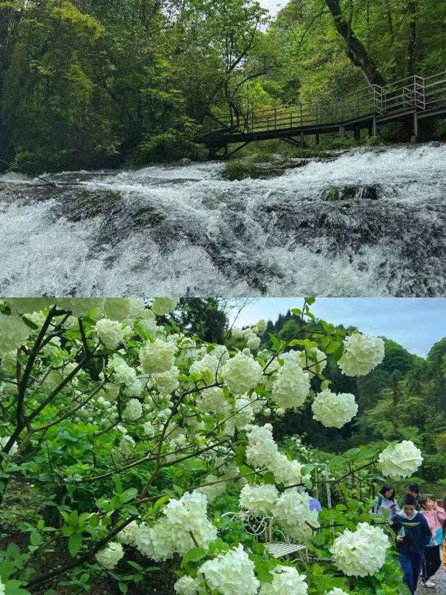 雅安龍苍溝疊翠溪風景區