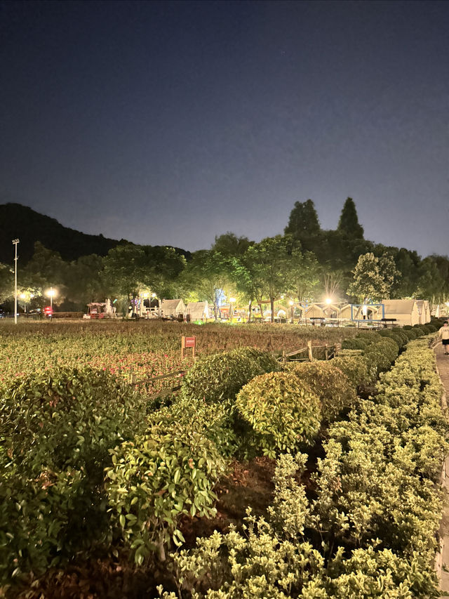 夜遊南京不老村！風景真美！氣候宜人！