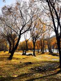 Terelj National Park and the Princess Temple from Ulaanbaatar