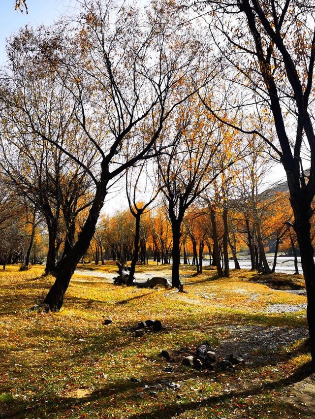 Terelj National Park and the Princess Temple from Ulaanbaatar
