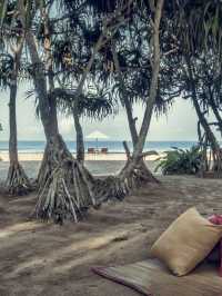 🌟 Bentota Bliss: Top Picks for a Serene Stay 🌊