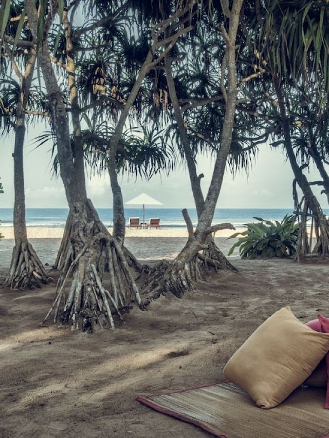🌟 Bentota Bliss: Top Picks for a Serene Stay 🌊