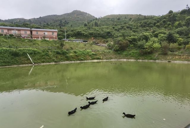 遠方不遠只要心之所向第四十六篇～～梅州三溪恩仔岽