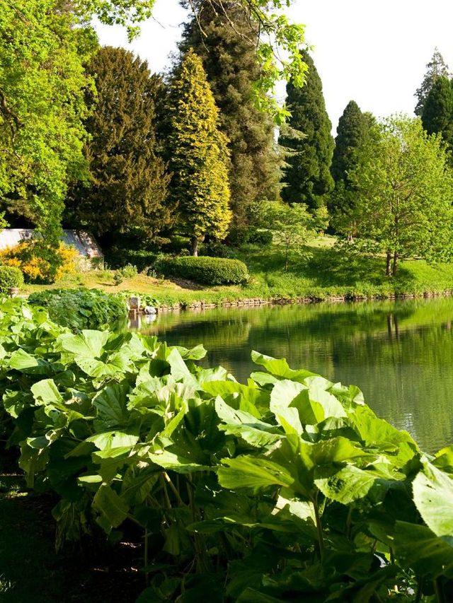 🏨✨ Cheltenham's Chic Sleeps: Cowley Manor Highlights! ✨🏨