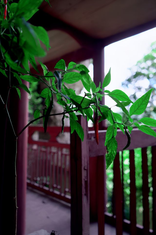北宋建隆二年的奇蹟