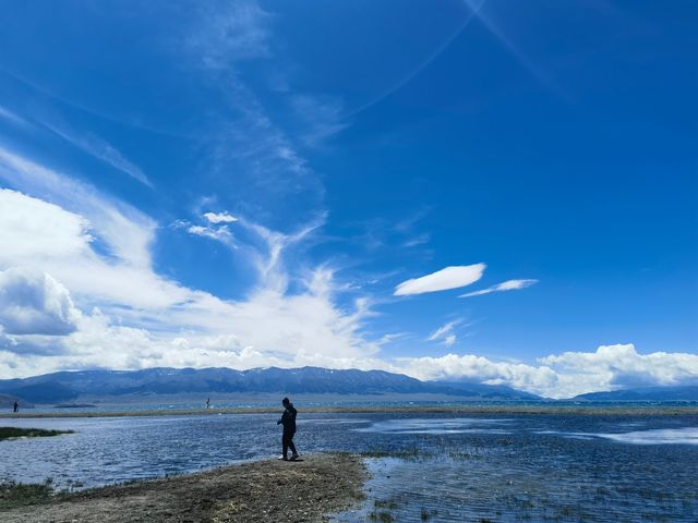 賽里木湖，天山之上的藍寶石