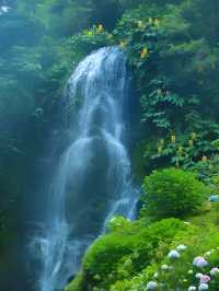 葡萄牙仙境Azores ,欧洲夏威夷名不虛傳！