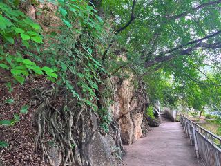 華寧 象鼻山莊