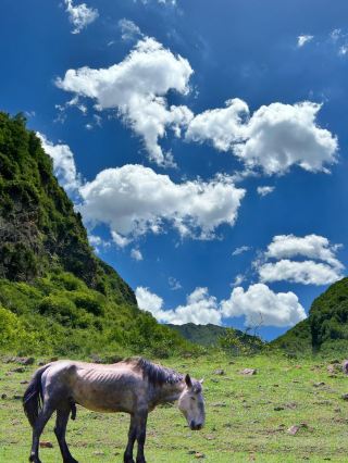 The people of Gansu say 'Alatai' is really beautiful