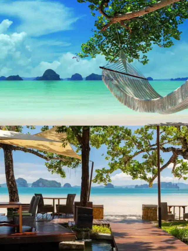 Hotel recommendation for a resort with a full jungle vibe