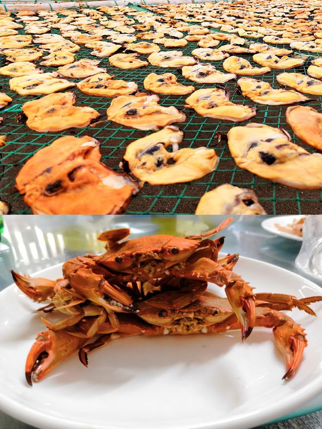 夏日自然要去海邊玩水啦—枸杞島的我們