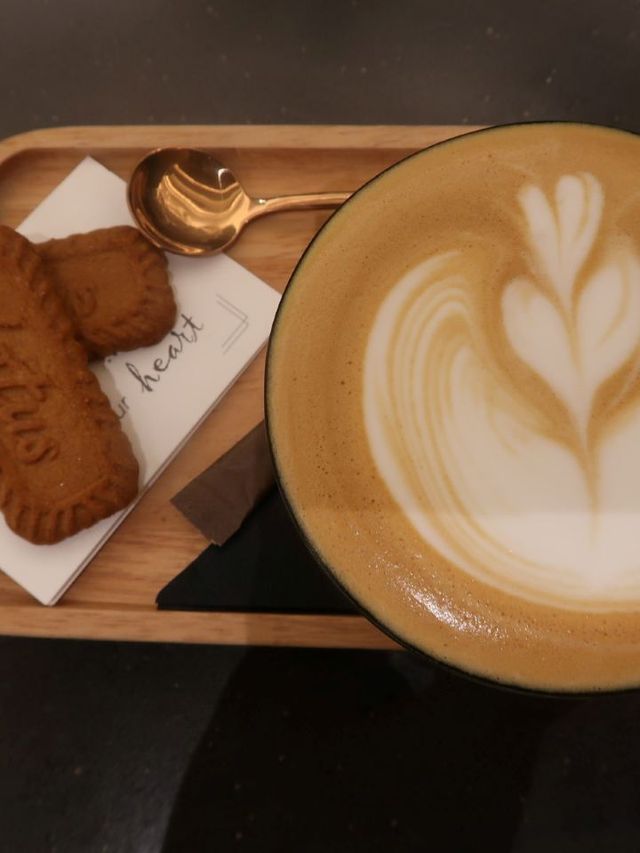 🌟 Hong Kong's Oasis Avenue Hotel Highlights ✨