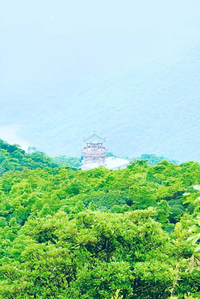 梧桐山登山路線