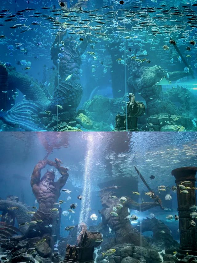 哈爾濱波塞冬海底世界丨打卡奇幻的海底王國