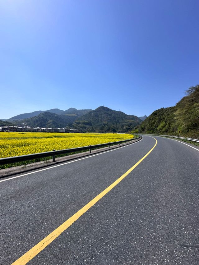 浙江千島湖|來千島湖看一場絕美的橘子海吧 浙江千島湖|來千島湖看一場絕美的橘子海吧