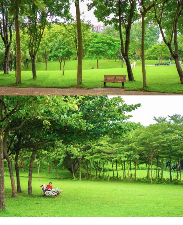 深圳阿勒泰!?就在南山区!