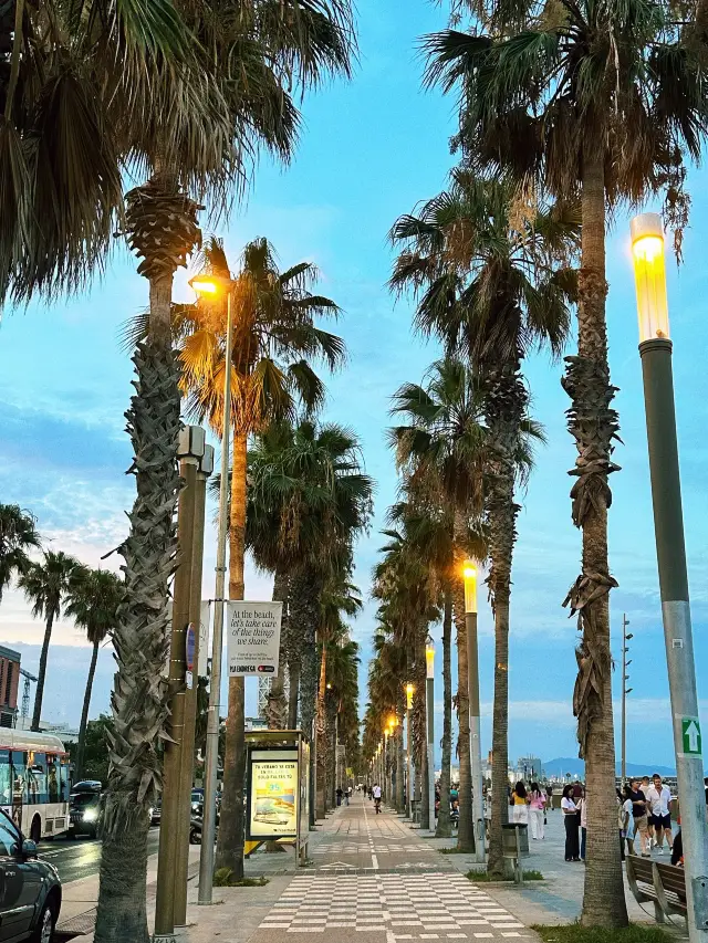 Barceloneta Vibes: Where City Energy Meets Seaside Serenity 🫶🏻