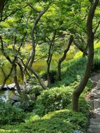 東京小眾景點|最詩意的八芳園