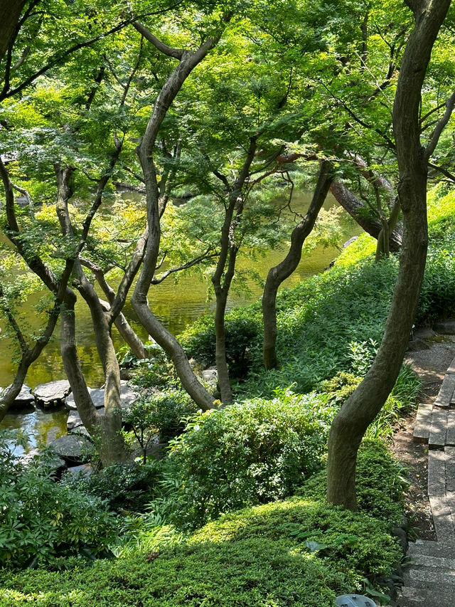 東京小眾景點|最詩意的八芳園