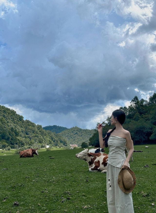 關山牧場我的阿勒泰