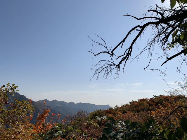 北京山系列——又到了看紅葉的季節：坡峰嶺