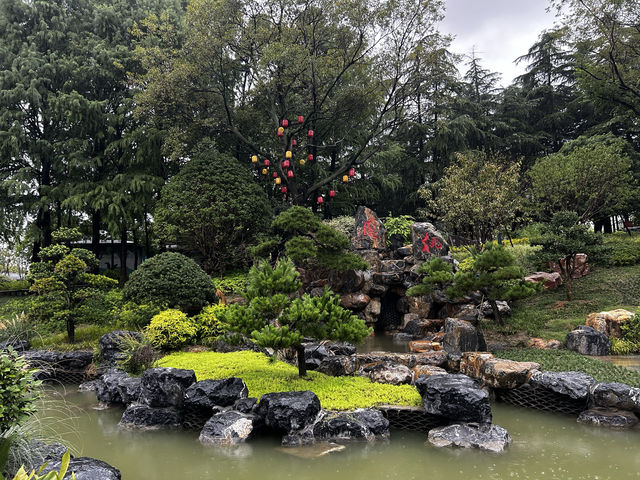 城市漫筆—窺見泰州。