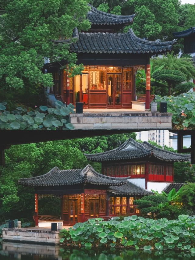 我宣布，太倉真是今年去過最被低估的寶藏小城。