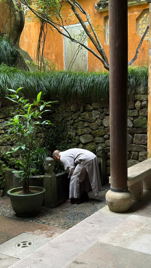 微雨天遊覽國清寺,以下是一些小貼士。