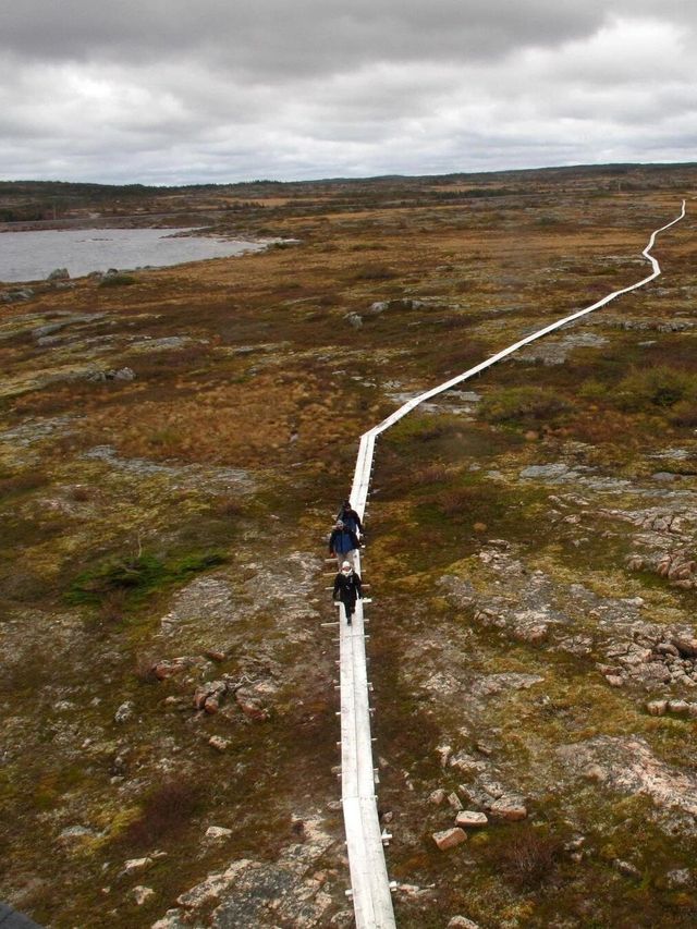 加拿大Fogo Island Inn|世界盡頭的酒店。