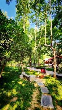 聽講西安豐慶公園錦簇芳菲，打卡過公園"山水綠叢中"才知曉。