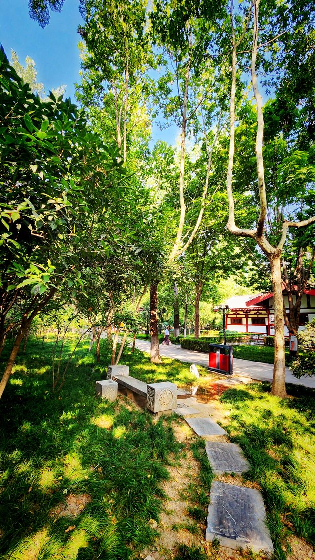 聽講西安豐慶公園錦簇芳菲，打卡過公園"山水綠叢中"才知曉。