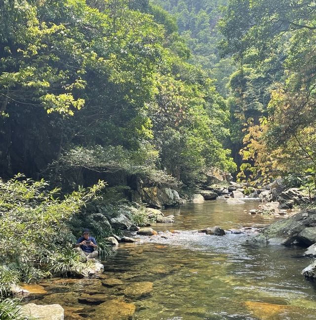 响南寧避暑圈，只需90分鐘就可以去到吾里森林。