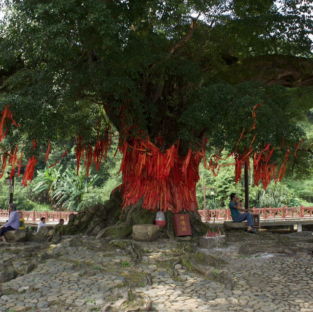 Tulou Hopping: Exploring Ancient Earthen Fortresses