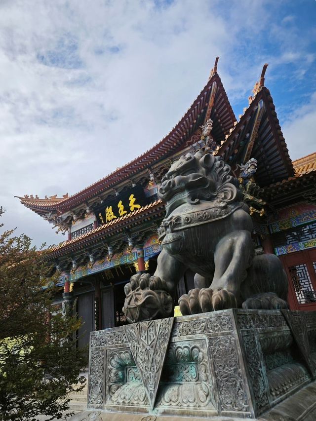 溫州洞頭 | 奔赴一場海邊的浪漫之旅。