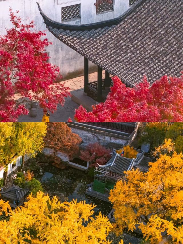 江蘇蘇州園林，秘密美景等您來發現？。