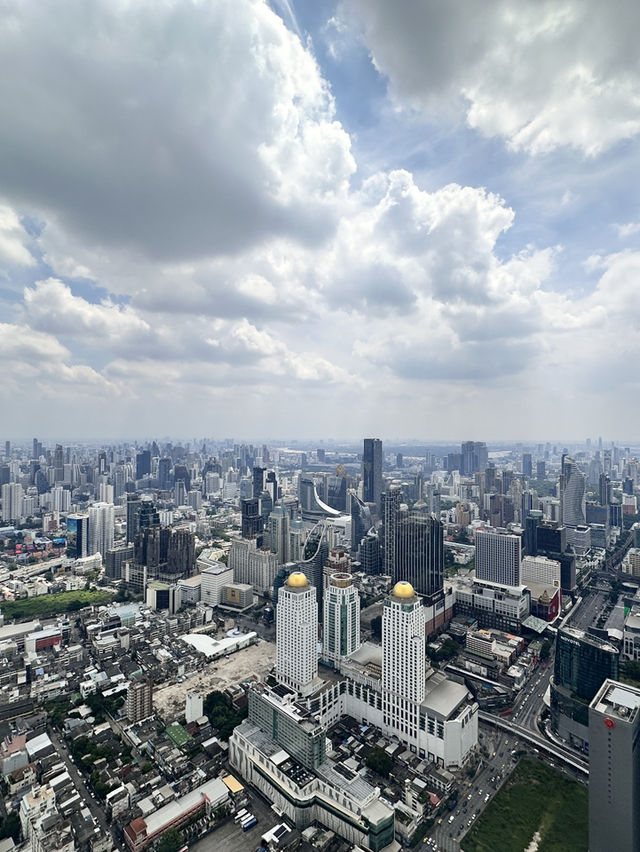 A Birds Eye view of Bangkok, a sprawling metropolis 