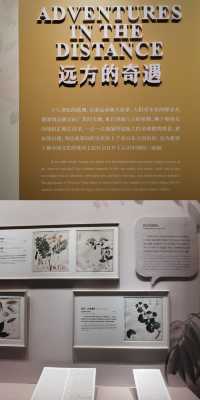 是「出海記」的一天在廣州一定要去的博物館。