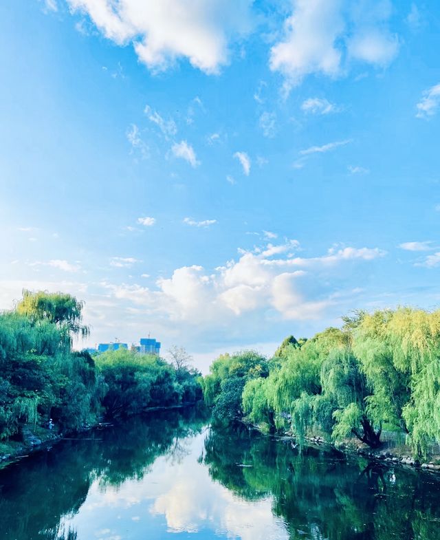 闖入花海秘境！又是被治癒的一天~。