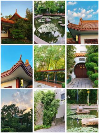 新鄉 | 平原公園遊玩攻略，打卡好去處。