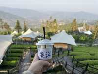 在普洱倚象山營地暨半山酒店,享受與自然相擁的美好時光。